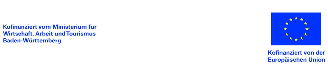 WM_Logoreihe_ESFPlus_2107