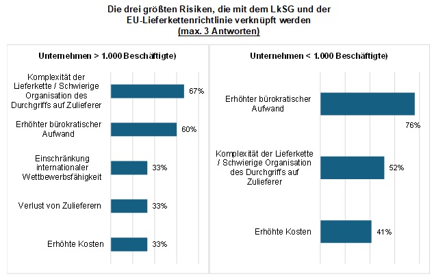 LkSG Umfrage 2024 Grafik_3_Risiken