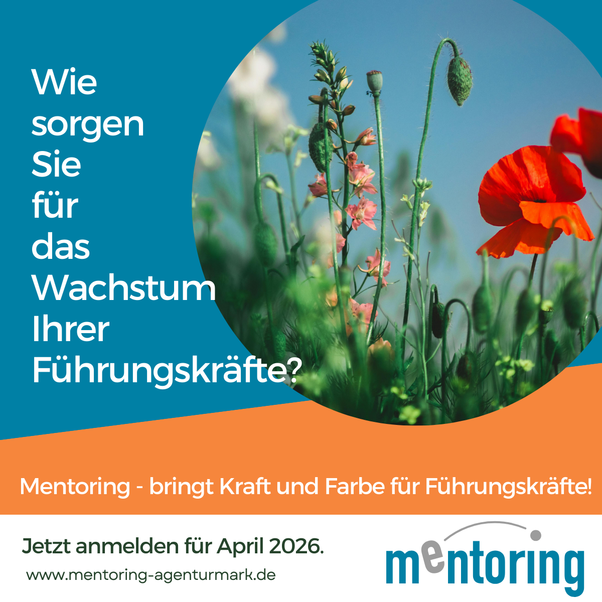 Mentoring 26