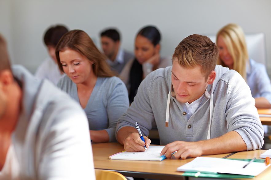 Studenten lernen im Seminar