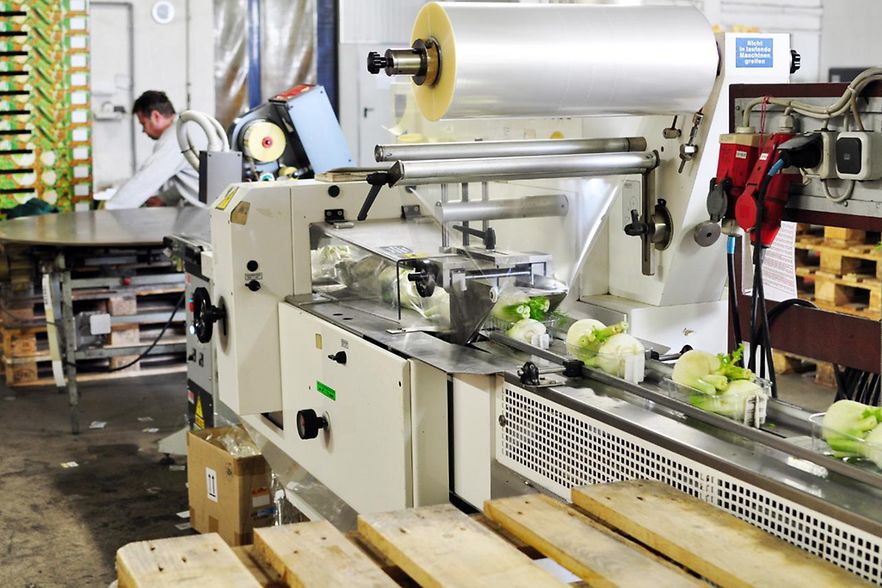 Verpackungsmaschine Lebensmittelindustrie