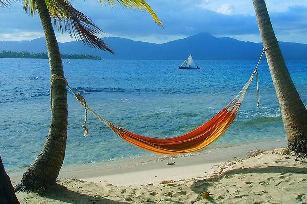 Hängematte zwischen zwei Palmen am Strand