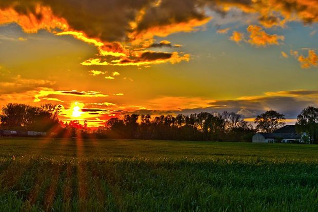 Sonnenuntergang hinter Gro&szlig;-Gerauer Feldern