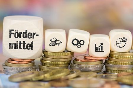 F&uuml;nf W&uuml;rfel mit Abbildungen f&uuml;r Ged und F&ouml;rdermittel