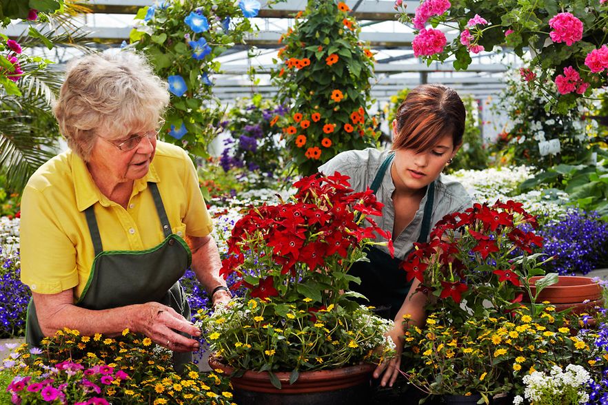 Alte und junge G&auml;rtnerin zwischen Blumen