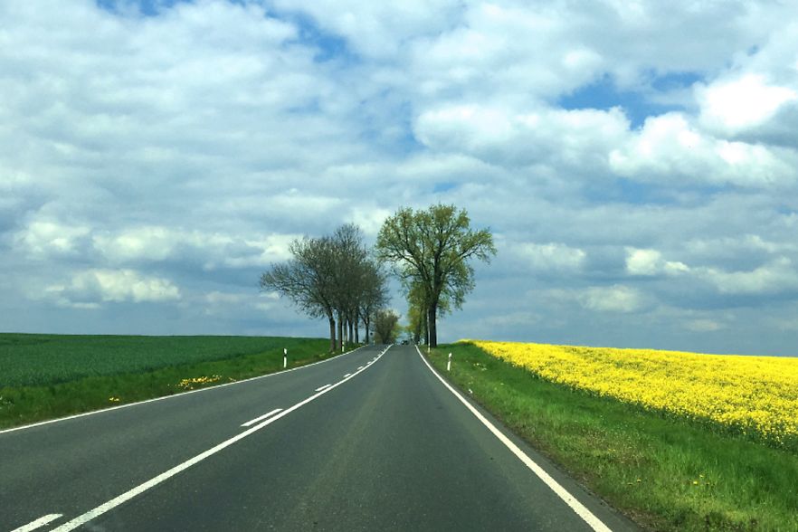Allee in Ostbrandenburg