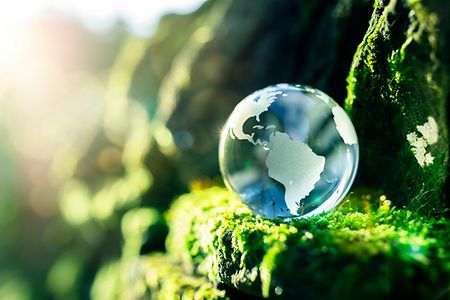 Weltkugel aus Glas in der Natur