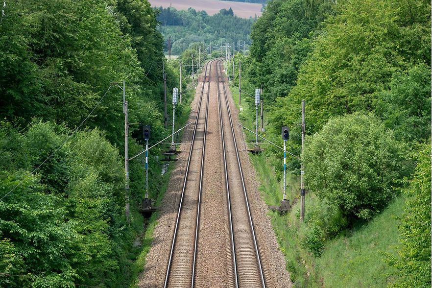 Zwei Bahngleise sowie B&auml;ume
