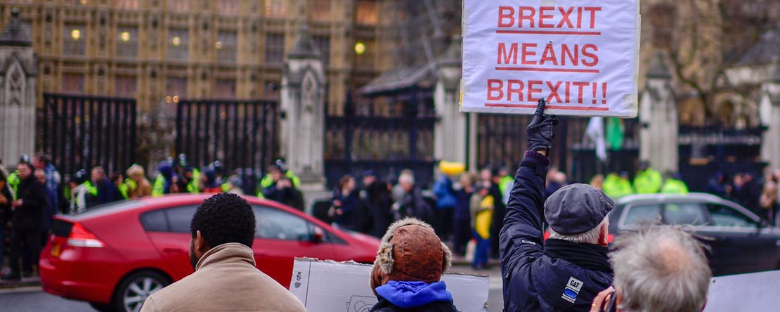 20190115 Brexit, London, 