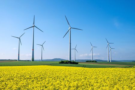 AdobeStock_65596707