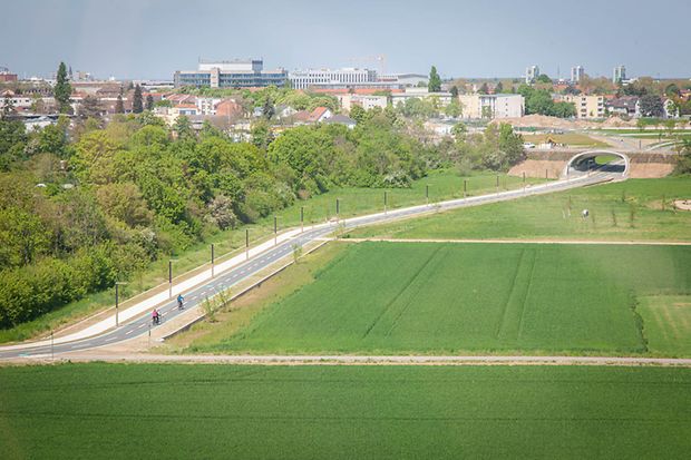 Radschellweg-Abschnitt "Feudenheimer Au &ndash; BUGA-Gel&auml;nde"