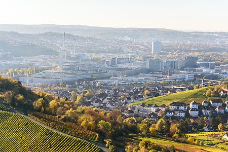 Vineyards at Stuttgart - beautiful wine region
