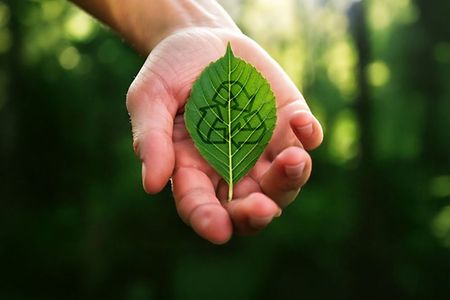 Hand h&auml;lt gr&uuml;nes Blatt mit Recycling-Symbol.