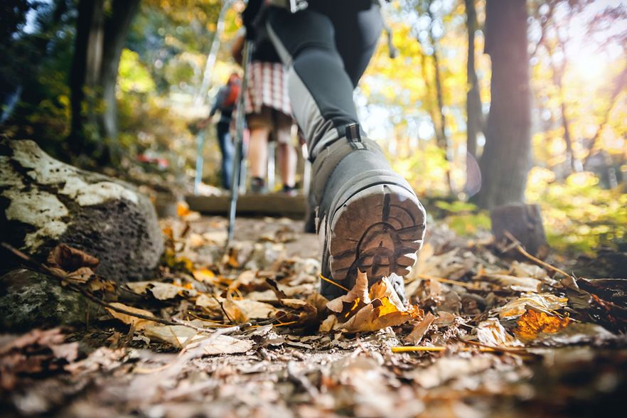 Nahaufnahme eines Wanderschuhs auf einem Waldweg mit herbstlichem Laub.