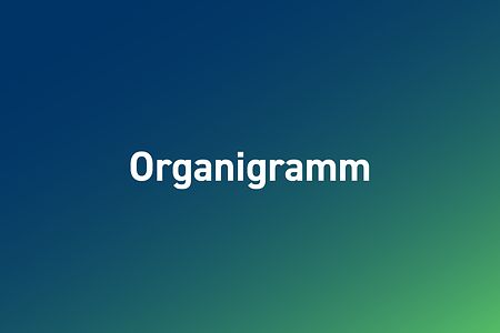 Schriftzug Organigramm auf blau-gr&uuml;nem Hintergrund