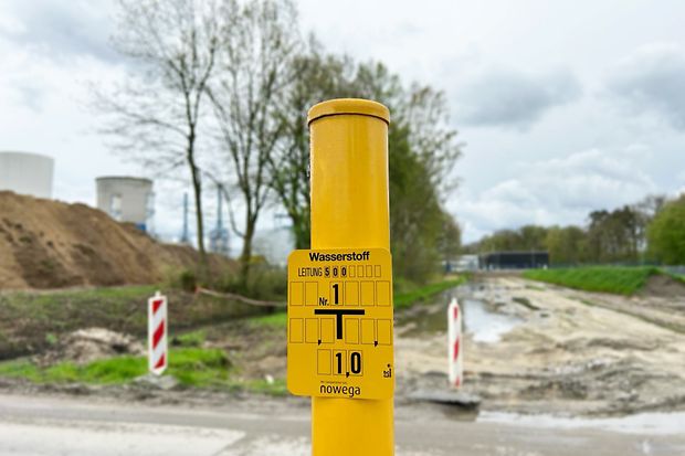 Schulderpfahl